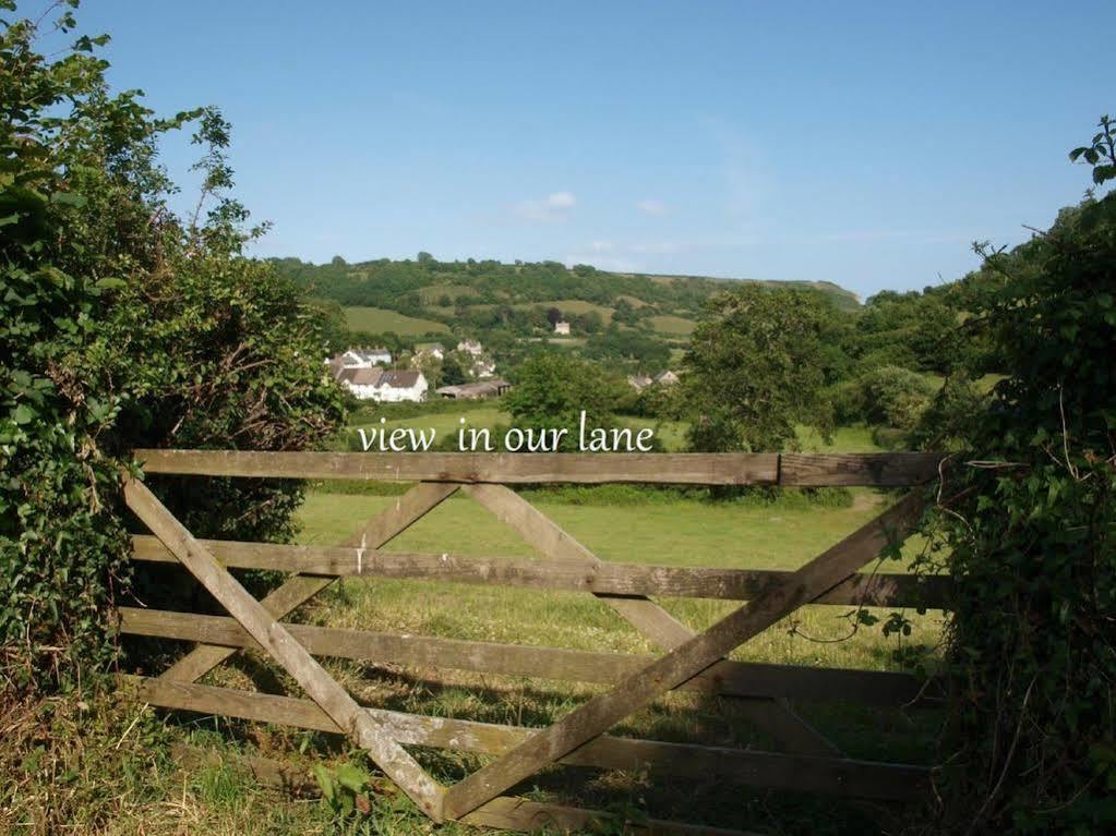 Stunning Countryside Views & Private Balcony! Cozy Room, 3 Miles To Lyme Regis - Free Parking & Wifi Axminster Kültér fotó